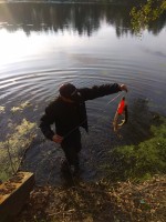IMG_20200912_171227.jpg