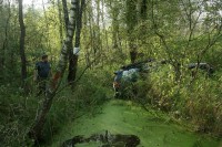 IMG_7092.JPG