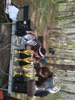 IMG_20200912_143805.jpg