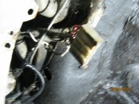IMG_0929.JPG