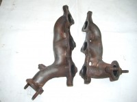 IMGP5503.JPG