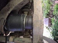 IMG_20200930_075233.jpg