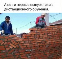 IMG-20201002-WA0007.jpg