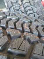 IMG_20201003_134245.jpg
