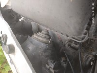 IMG_20201009_104425.jpg