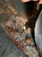 IMG-20201010-WA0015.jpg