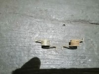 IMG_20201007_175407.jpg