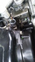 IMG_20201018_143356.jpg