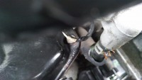 IMG_20201018_143343.jpg