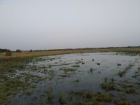IMG_20200926_071058.jpg