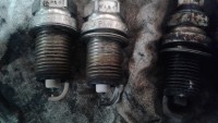 20201027_202712.jpg