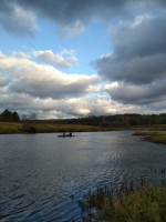 IMG_20201105_152029.jpg