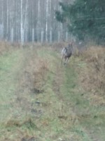 IMG_20201105_131607.jpg
