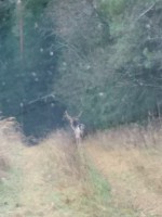 IMG_20201105_131504.jpg