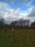 IMG_20201105_123954.jpg