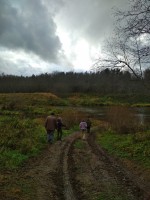 IMG_20201105_123440.jpg