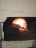 IMG_20201104_182842.jpg