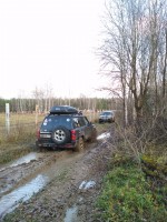 IMG_20201106_150348.jpg