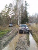 IMG_20201106_145233.jpg