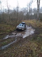 IMG_20201106_133239.jpg