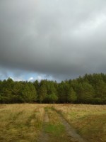 IMG_20201106_131219.jpg