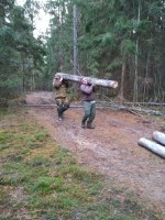 IMG_20201105_160819.jpg