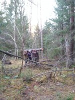 IMG_20201105_160805.jpg