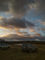 IMG_20201106_162916.jpg