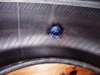IMG_20201105_135856.jpg