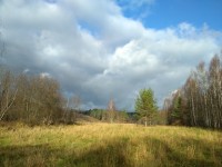 IMG_20201105_124152.jpg