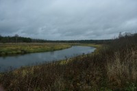 IMG_7207.JPG