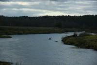 IMG_7286.JPG