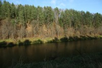 IMG_7364.JPG