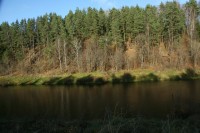 IMG_7365.JPG