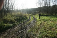 IMG_7394.JPG