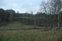 IMG_7424.JPG