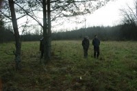 IMG_7428.JPG