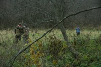 IMG_7440.JPG
