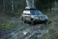 IMG_7505.JPG