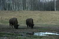 IMG_7512.JPG