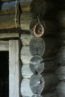 IMG_7556.JPG