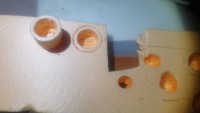 20201117_233532.jpg