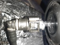 20201126_124533.jpg