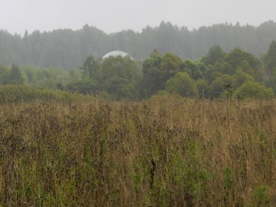 DSCN0781.jpg