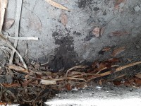 20201203_123451.jpg