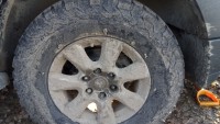 IMG_20201206_110509_1.jpg
