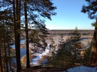 IMG_20201206_114541.jpg