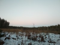 IMG_20201205_160300.jpg