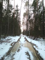 IMG_20201205_151606.jpg