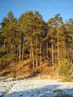 IMG_20201205_135555.jpg